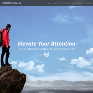 Dynamik Parallax Skin